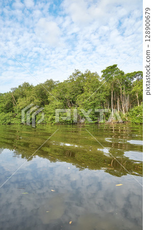 The bank of the Brunei River (Sungai Brunei) seen from the water, Brunei. The bank of the Brunei River (Sungai Brunei) seen from the water, Brunei. 128900679