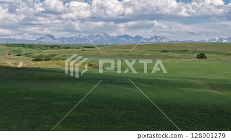 Green pasture stretching towards majestic mountains under cloudy sky 128901279