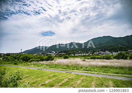 多雲的天空和綠色的草地的美麗郊區風景 128901863