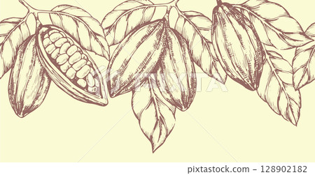 Seamless vector border with cocoa. vintage illustration in sketch style Seamless vector border with cocoa. vintage illustration in sketch style 128902182