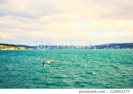 伊斯坦堡博斯普魯斯海峽之旅 7 128902277