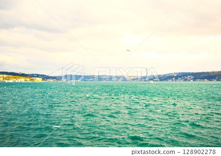 伊斯坦堡博斯普魯斯海峽之旅 8 128902278