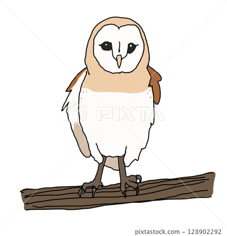 樹上的穀倉貓頭鷹 樹上的穀倉貓頭鷹 128902292