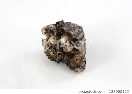 蜂箱 蜂箱 128902303