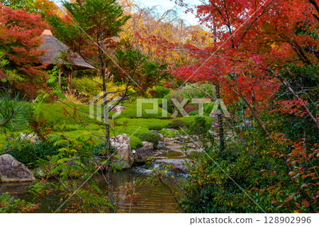 Myoshinji Temple Taizoin Yokoen 128902996