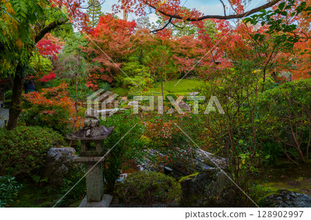 妙心寺退藏院橫光園 128902997