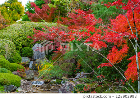妙心寺退藏院橫光園 128902998