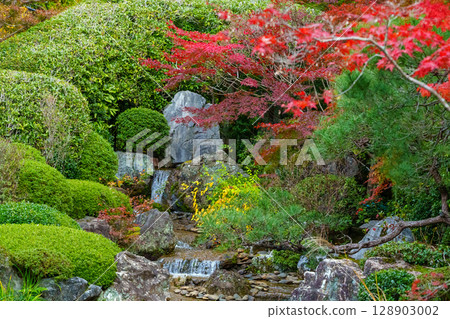 妙心寺退藏院橫光園 128903002