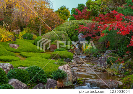 妙心寺退藏院橫光園 128903004
