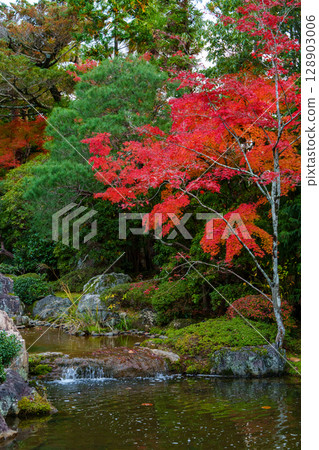 妙心寺退藏院橫光園 128903006