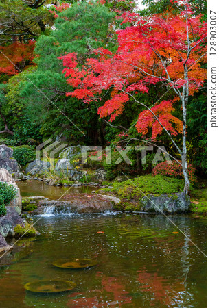 妙心寺退藏院橫光園 妙心寺退藏院橫光園 128903007