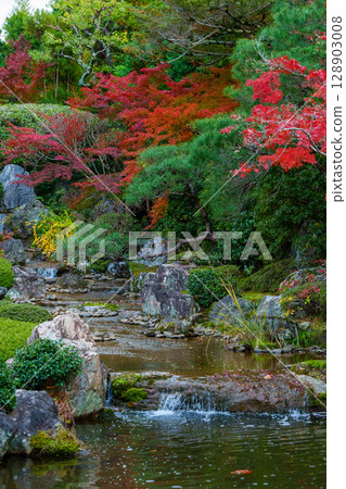 妙心寺退藏院橫光園 128903008