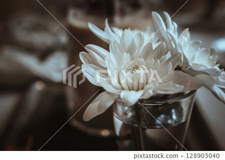 White Chrysanthemums in Glass on Blurred Background 128903040