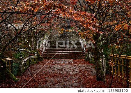 圓通寺的秋葉 128903190