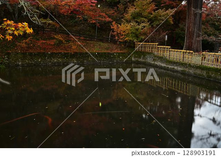 圓通寺的秋葉 128903191