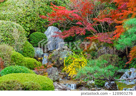 妙心寺退藏院橫光園 128903276