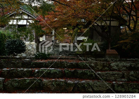 Autumn leaves at Entsuji Temple 128903284