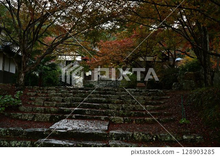 圓通寺的秋葉 圓通寺的秋葉 128903285