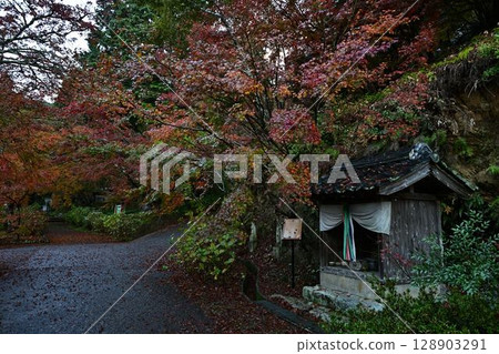 Autumn leaves at Entsuji Temple 128903291