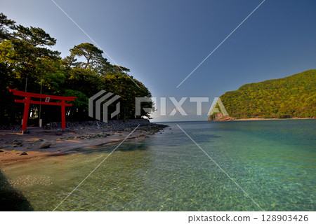 Chubu region, Izu Peninsula, Mihama Cape, the vermilion torii gate of Moroguchi Shrine and Mount Fuji, a sacred site for TV dramas, Toda, Numazu City, Shizuoka Prefecture (1) 128903426