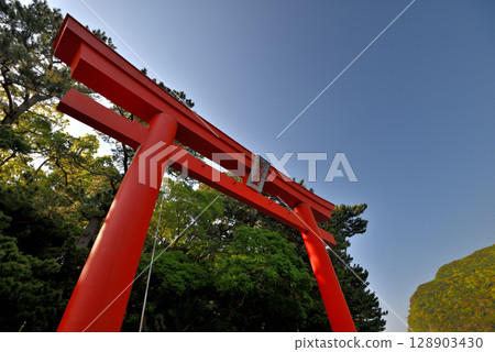 伊豆半島西伊豆的能量景點，中部地區美濱岬，海岸上的許多神社鳥居，靜岡縣沼津市戶田市（2） 128903430