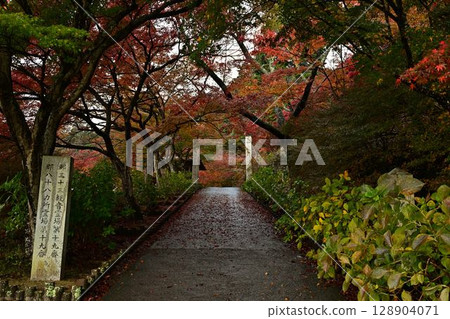Autumn leaves at Entsuji Temple 128904071