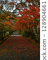 Autumn leaves of Sanpo-ji Temple 128904661
