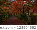 Autumn leaves of Sanpo-ji Temple 128904662