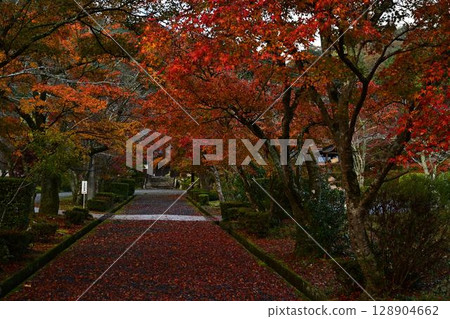 Autumn leaves of Sanpo-ji Temple 128904662