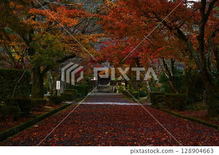 Autumn leaves of Sanpo-ji Temple 128904663