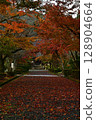 Autumn leaves of Sanpo-ji Temple 128904664