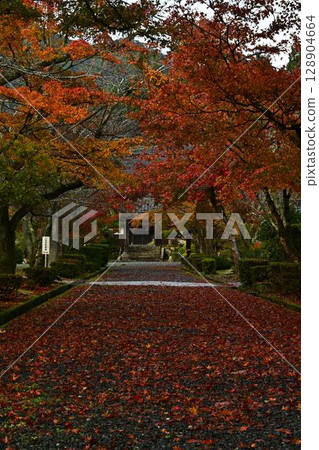 Autumn leaves of Sanpo-ji Temple 128904664