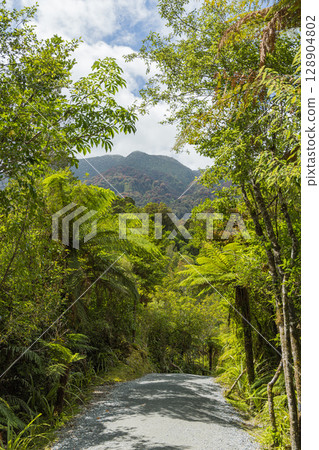 Franz Josef Glacier Walk in Westland National Park, New Zealand 128904802