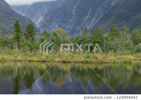 Peter's Pool in the valley of Franz Josef Glacier in Westland National Park, New Zealand 128904842