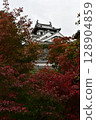 Autumn leaves at Fukuchiyama Castle 128904859