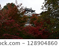 Autumn leaves at Fukuchiyama Castle 128904860