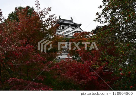 福知山城的秋葉 福知山城的秋葉 128904860