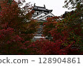 Autumn leaves at Fukuchiyama Castle 128904861
