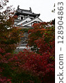Autumn leaves at Fukuchiyama Castle 128904863