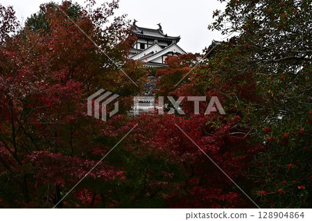 Castle tower surrounded by autumn leaves 128904864