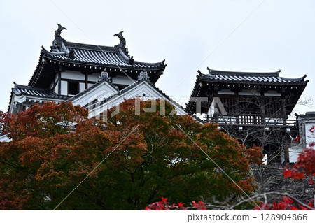 Castle tower surrounded by autumn leaves 128904866