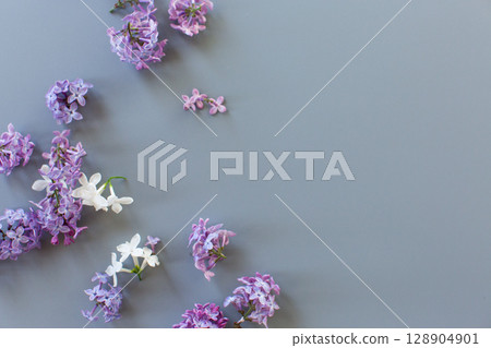 Beautiful lilac on a gray background with empty space for text 128904901