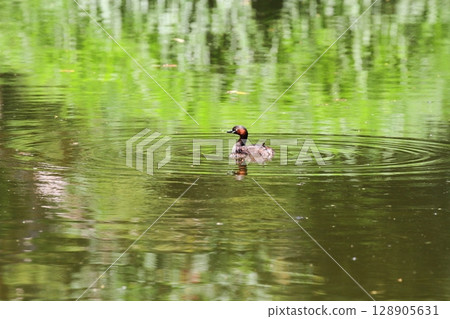 Kaizuburi的父母和孩子 Kaizuburi的父母和孩子 128905631