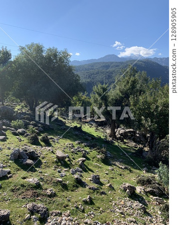 Mountainous landscape with rocks and forest 128905905