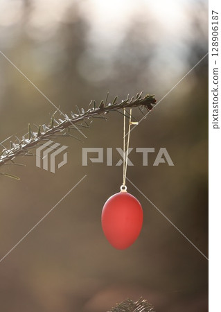 A red egg ornament hangs from a tree branch 128906187