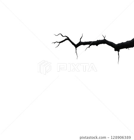 Silhouette of bare tree branch stretches across transparency background, creating stark and minimalist contrast. branch intricate details evoke sense of nature simplicity and elegance 128906389