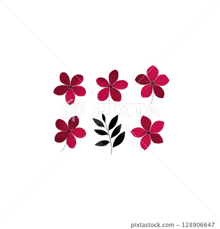 Red flowers and black leaf arranged in minimalist pattern on transparency background, creating simple and elegant design Red flowers and black leaf arranged in minimalist pattern on transparency background, creating simple and elegant design 128906647