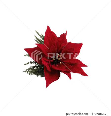 Vibrant red poinsettia flower with lush green leaves, symbolizing holiday cheer and festive decoration, is beautifully displayed against plain background 128906672