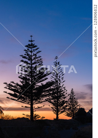 從紐西蘭霍克斯灣黑斯廷斯的懷瑪拉瑪海灘看到的日出天空 128906812