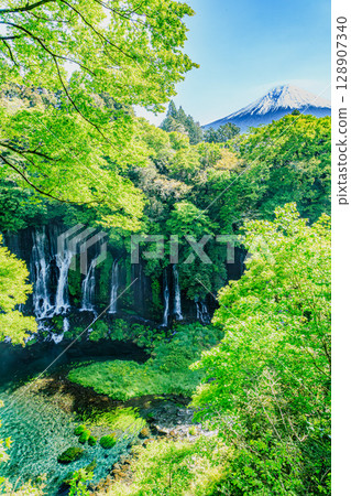 初夏清爽的白絲瀑布與富士山美景 128907340